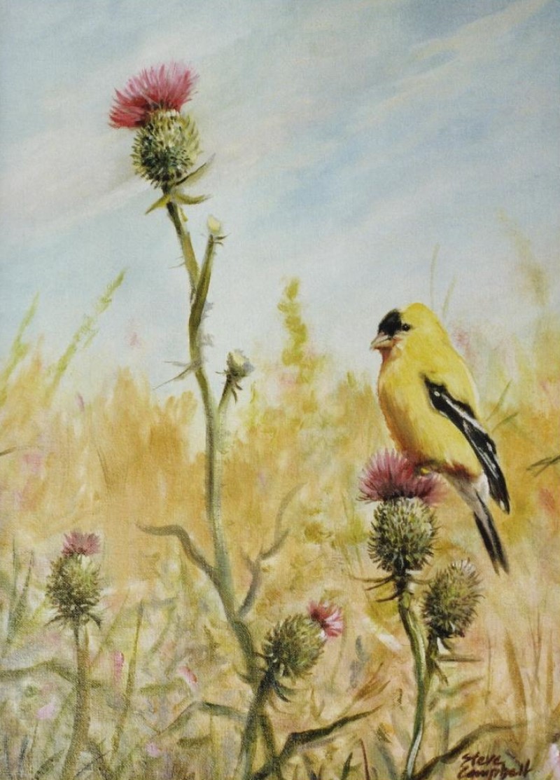 plein air goldfinch painting