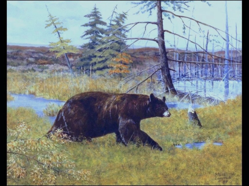 beaver dam bear painting 4