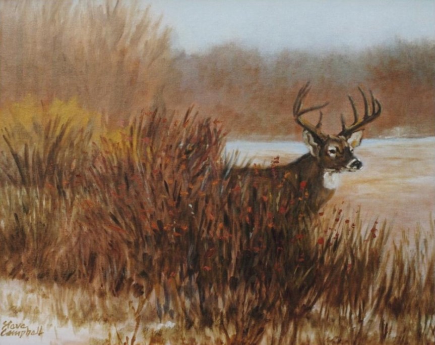 field buck painting