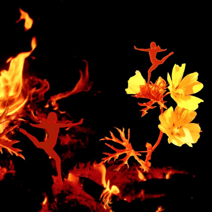 fire dancers photo