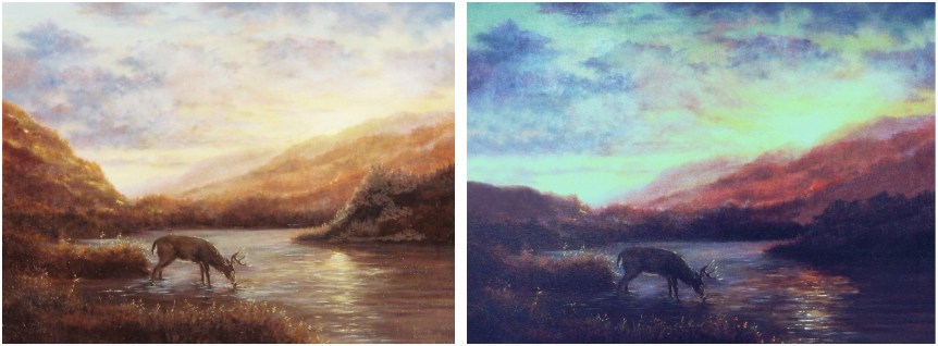 whitetail deer paintings