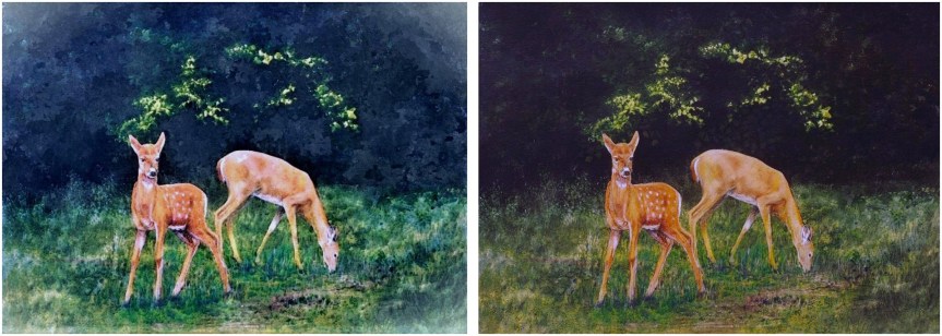fawn and doe paintings
