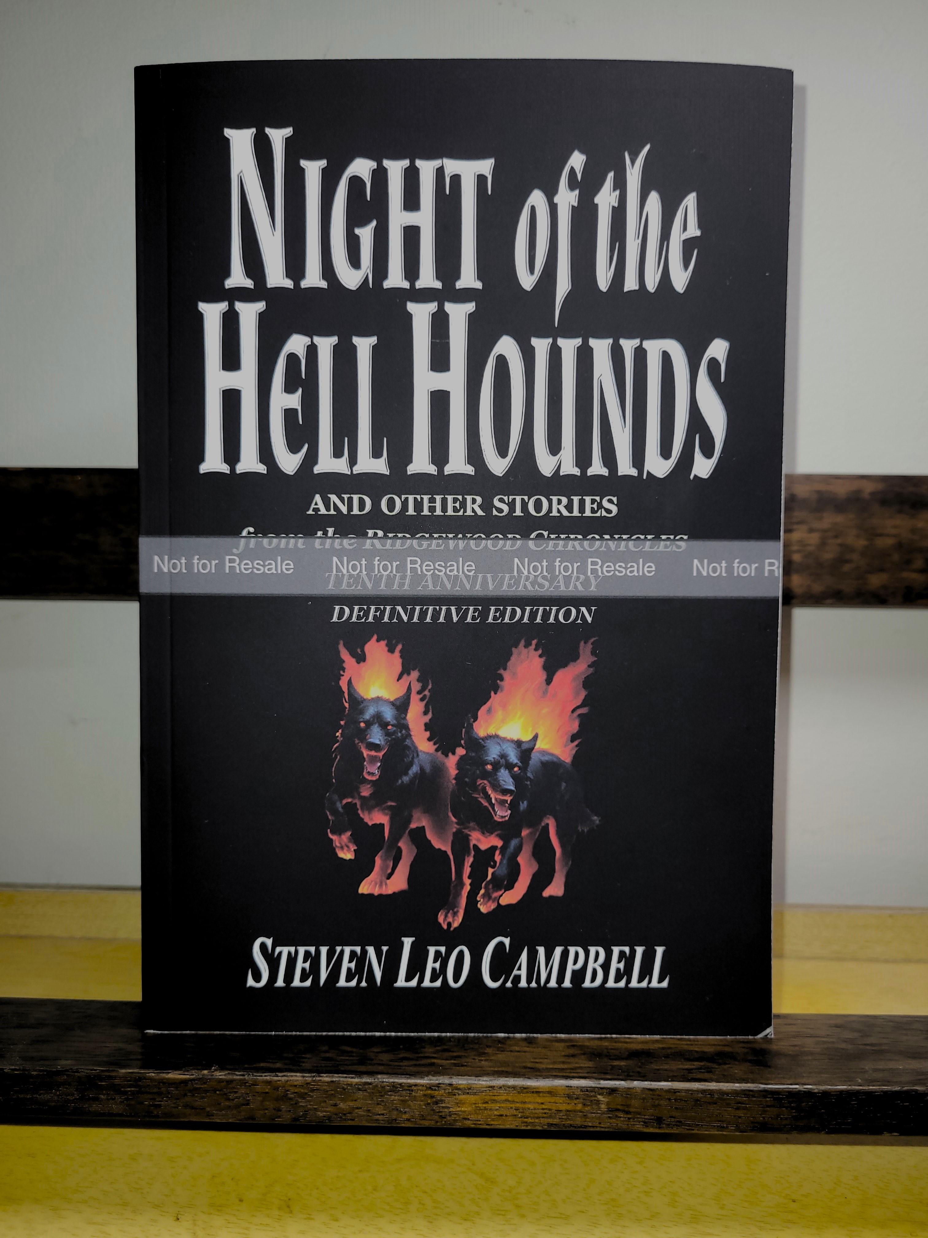 New 2024 paperback book cover