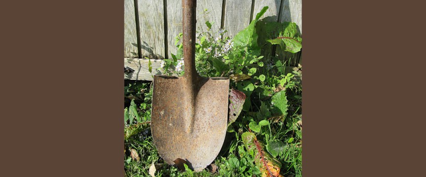 A Quick Autumn&nbsp;Stroll