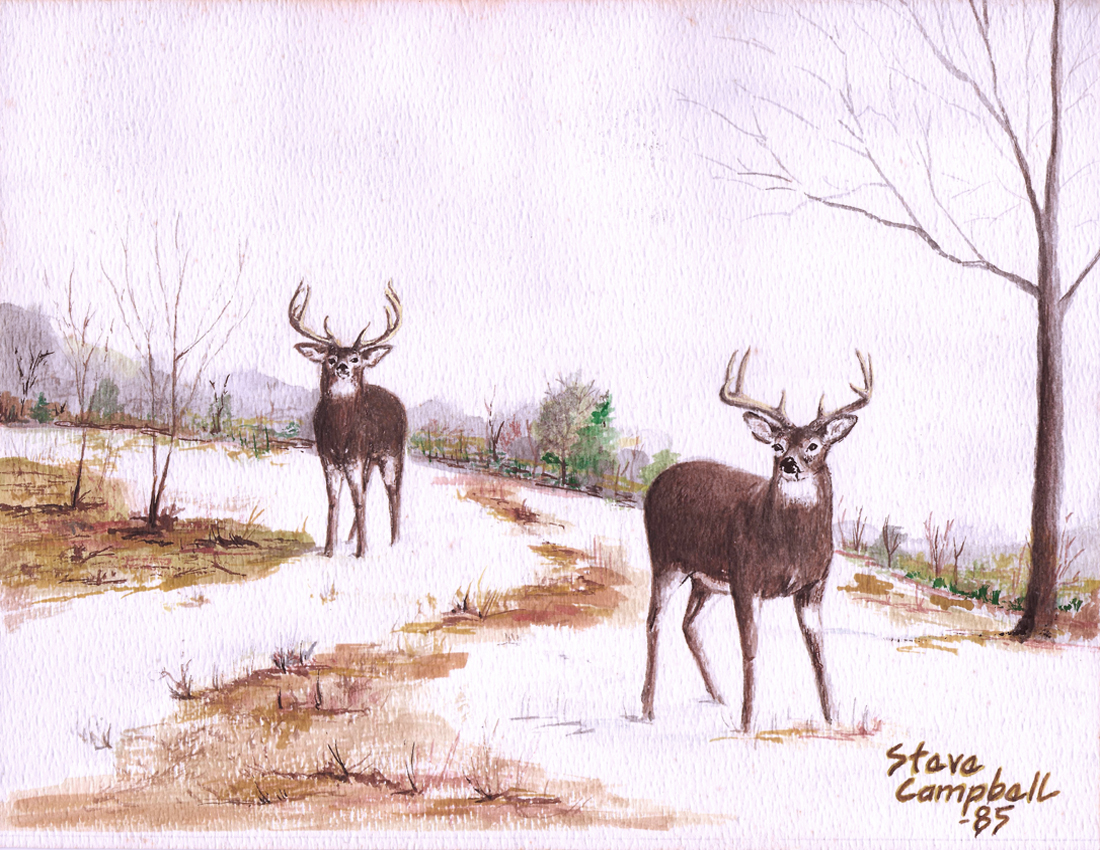 whitetail deer, gouache painting