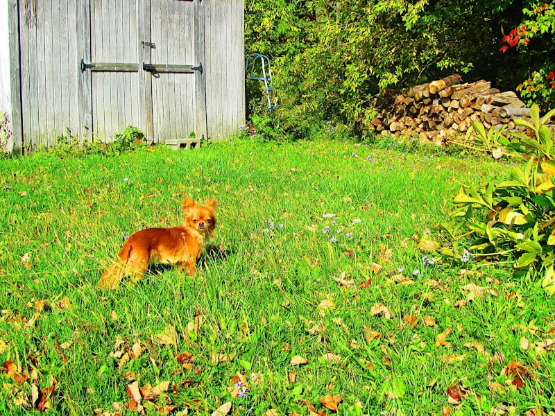 Tuffy 01
